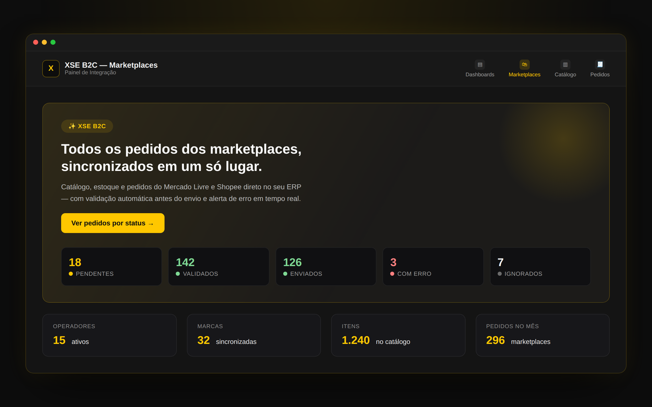 Tela ilustrativa do painel XSE B2C com pedidos de marketplaces por status